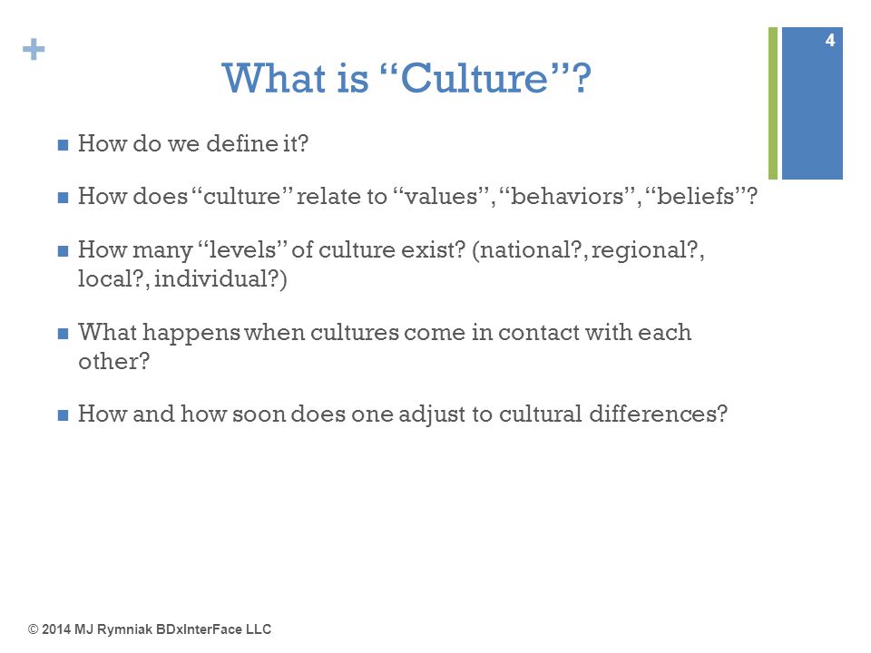 Individualistic culture